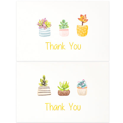 Crisky 4x6 Succulent 2 Assorted Thank You Cards with Envelopes (50 Pack) & Stickers Greeting Notes Bulk, greenery plants for Birthday, Baby Shower,Bridal Shower, Wedding, Graduation