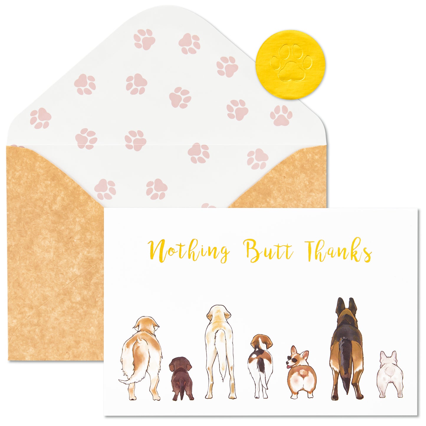 Crisky 50 Count Dog Thank You Cards Nothing Butt Thanks Gold Foil Greeting Cards with Envelopes & Stickers For Friends, Women Men, Teachers, Colleagues