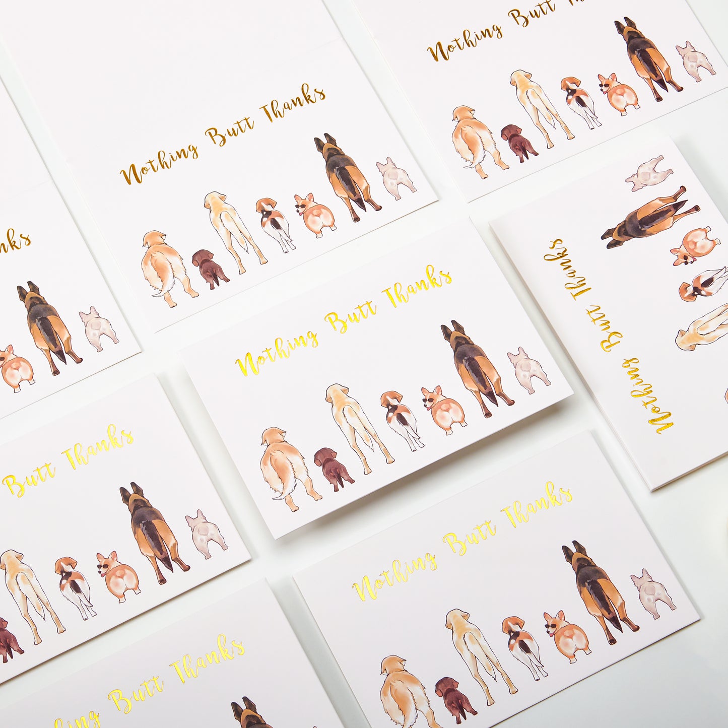 Crisky 50 Count Dog Thank You Cards Nothing Butt Thanks Gold Foil Greeting Cards with Envelopes & Stickers For Friends, Women Men, Teachers, Colleagues